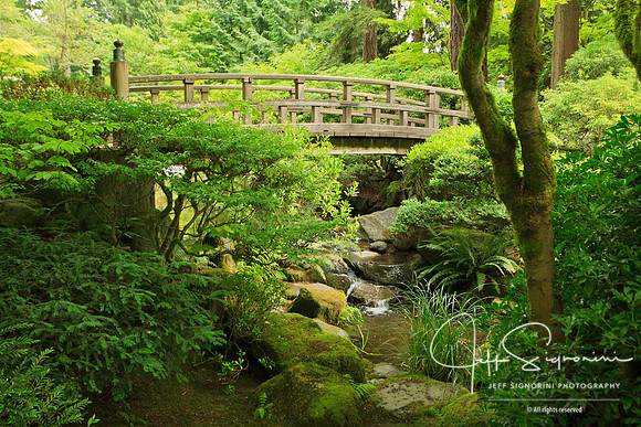 Japanese Garden, Portland, Oregon
