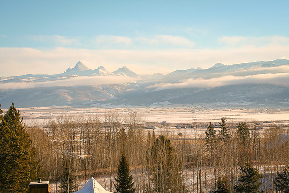 view from the house