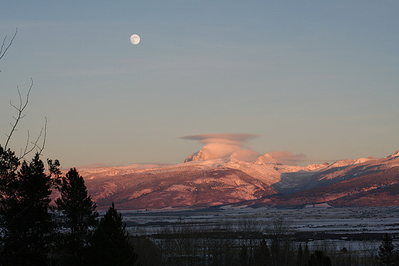 evening view from the porch