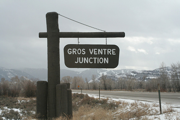 Gros Ventre Road - animals everywhere
