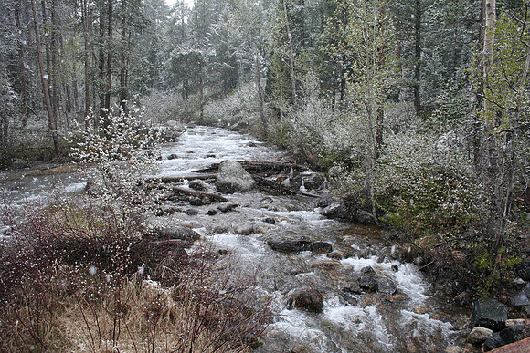 Grand Teton National Park