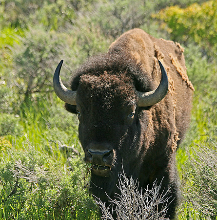 Grand Teton National Park