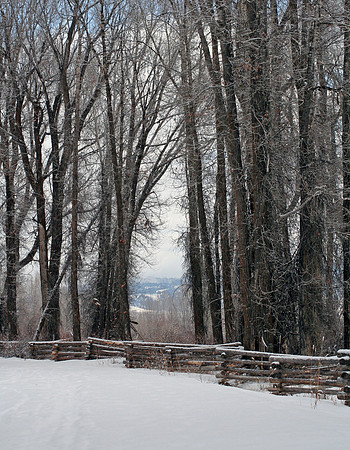 Teton Winter Scene