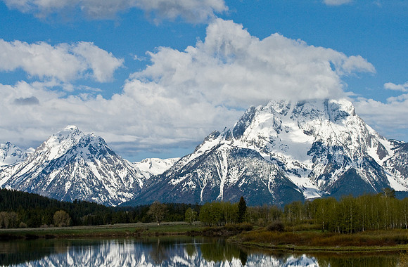 Pelican Point, Grand Teton National Park