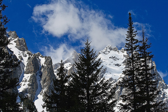 Teton Beauty