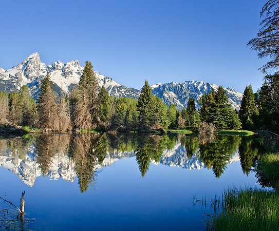 Teton Beaver Pond