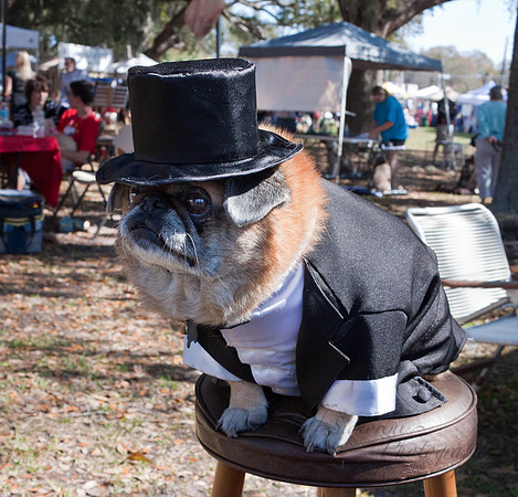 Mutt March 2011 397