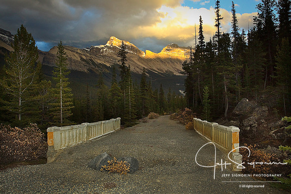 Along the Icefields Parkway between Jasper & Banff N.P. - Alberta, Canada