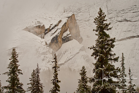 Jasper National Park - BC, Canada