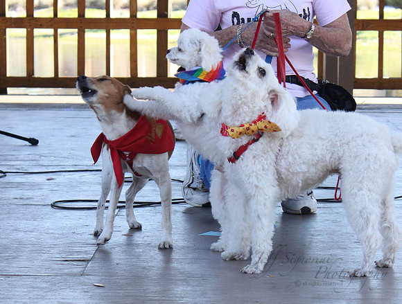Mutt March 2011 323