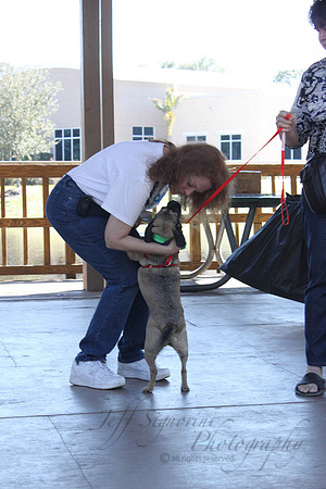 Mutt March 2011 242