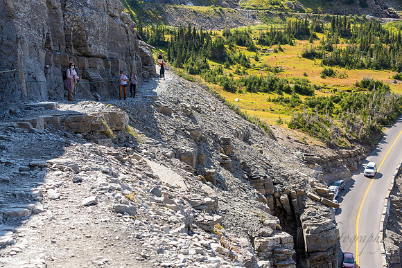A hike (Roxanne) above  Going to the Sun Road