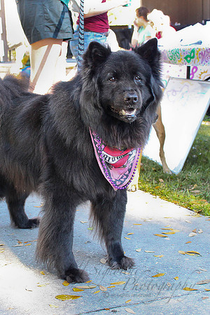 Mutt March 2011 549