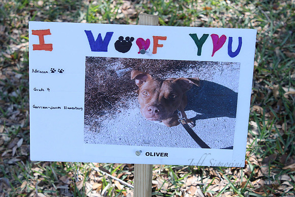 Mutt March 2011 219
