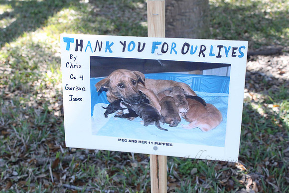 Mutt March 2011 220