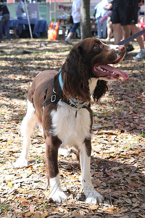 Mutt March 2011 143