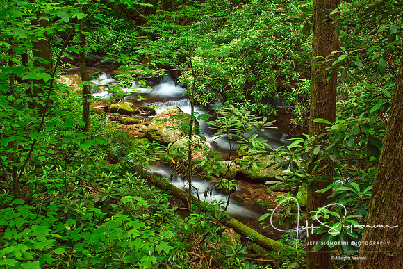North Georgia