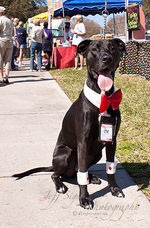 Mutt March 2011 495