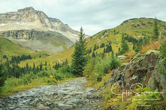 Yankee Boy Basin trail road. Definitely 4WD only!