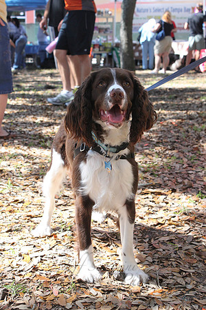 Mutt March 2011 145