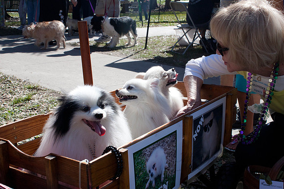 Mutt March 2011 051-2