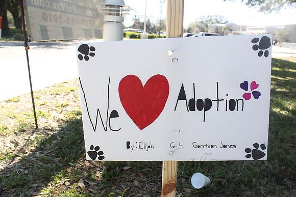 Mutt March 2011 223