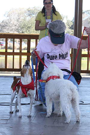 Mutt March 2011 321