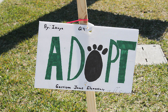 Mutt March 2011 217