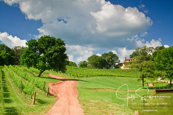 North Georgia winery