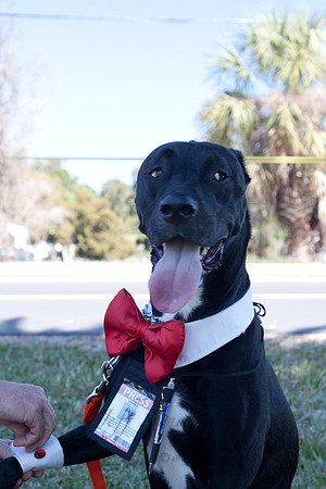 Mutt March 2011 482