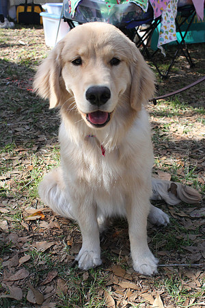 Mutt March 2011 302