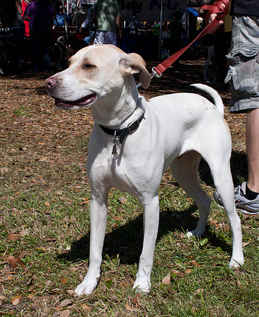 Mutt March 2011 474