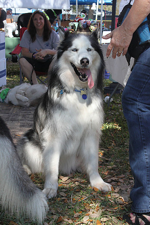 Mutt March 2011 133