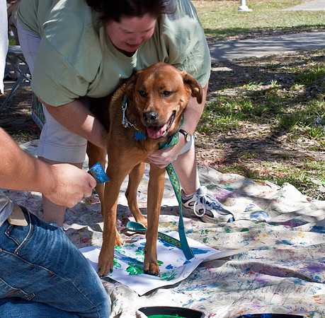 Mutt March 2011 470
