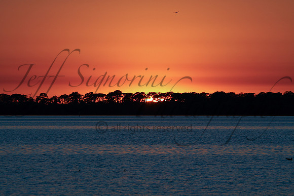 Dunedin Sunset