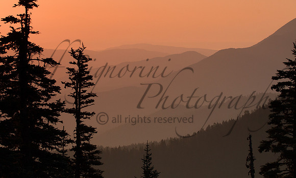 Sunrise at Hurricane Ridge, Olympic National Park