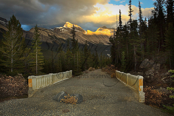 Old Mountain Road