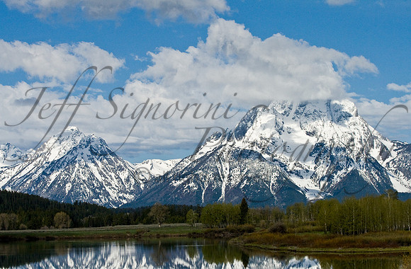 Pelican Point, Grand Teton National Park