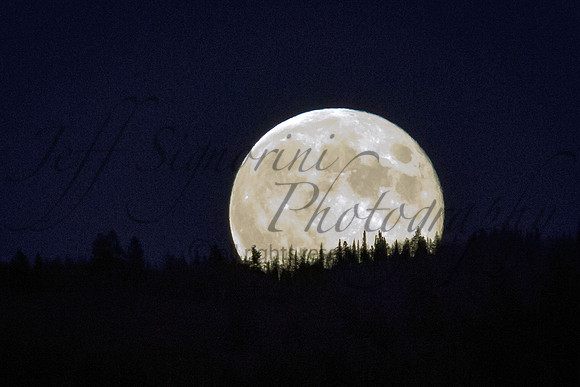 Moonrise - GTNP Jackson, WY
