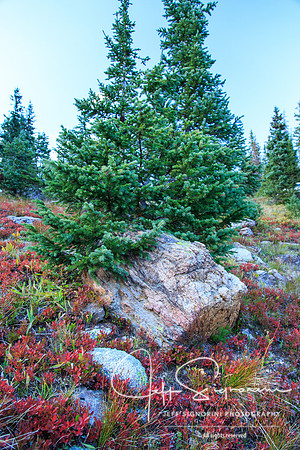 Rocky Mountain National Park