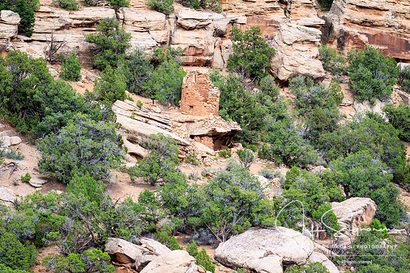 Canyons of the Ancients National Monument