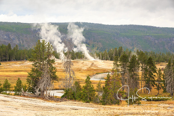 Geyser field, Yellowstone NP
