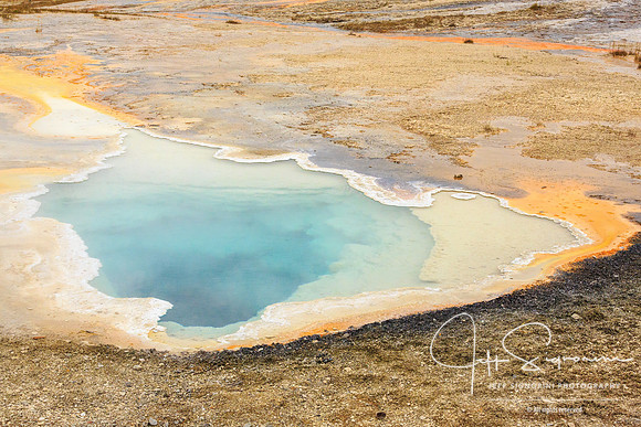 Geyser field, Yellowstone NP