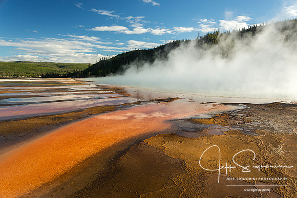 Geyser field, Yellowstone NP