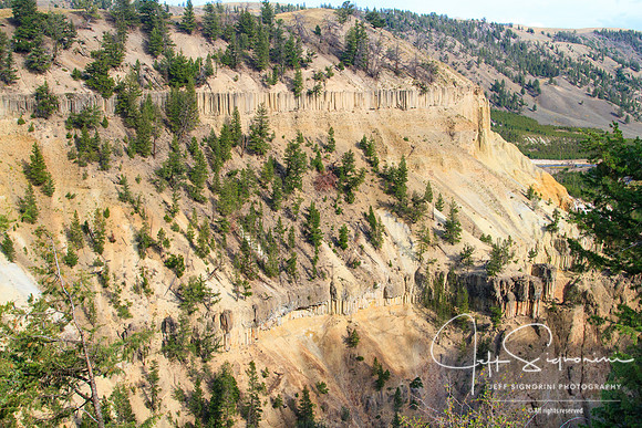Yellowstone NP