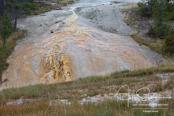 Geyser field, Yellowstone NP