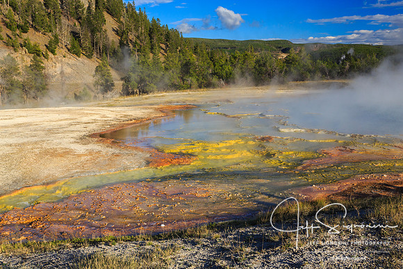 Geyser field, Yellowstone NP