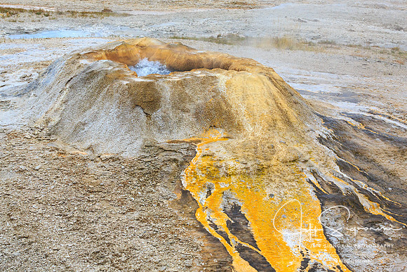 Geyser field, Yellowstone NP