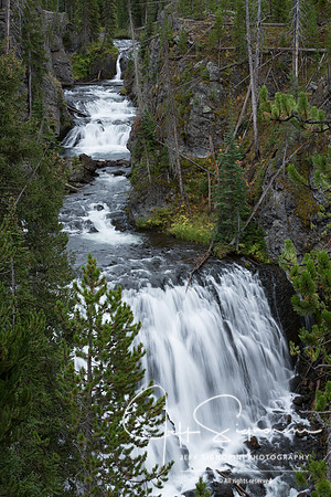 Yellowstone NP