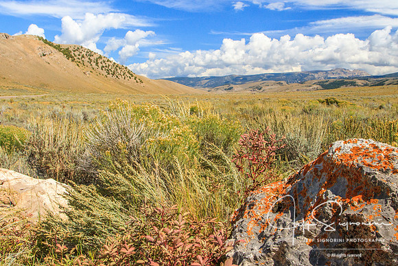 View from back side of the National Elk Refuge